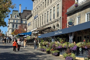 Privat byrundtur i bil i Montreal med lokal guide