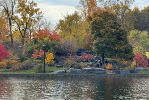 Privat byrundtur i bil i Montreal med lokal guide