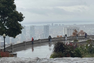 Privat byrundtur i bil i Montreal med lokal guide