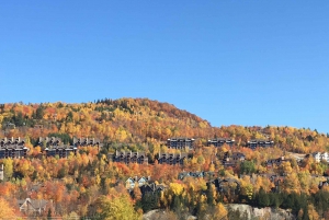 Montreal: Prywatna jednodniowa wycieczka do Mont Tremblant