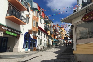 Montreal: Prywatna jednodniowa wycieczka do Mont Tremblant