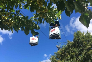 Montreal: Prywatna jednodniowa wycieczka do Mont Tremblant