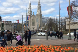 Montreal: Private Day Tour to Ottawa