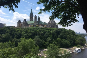 Montreal: Private Day Tour to Ottawa