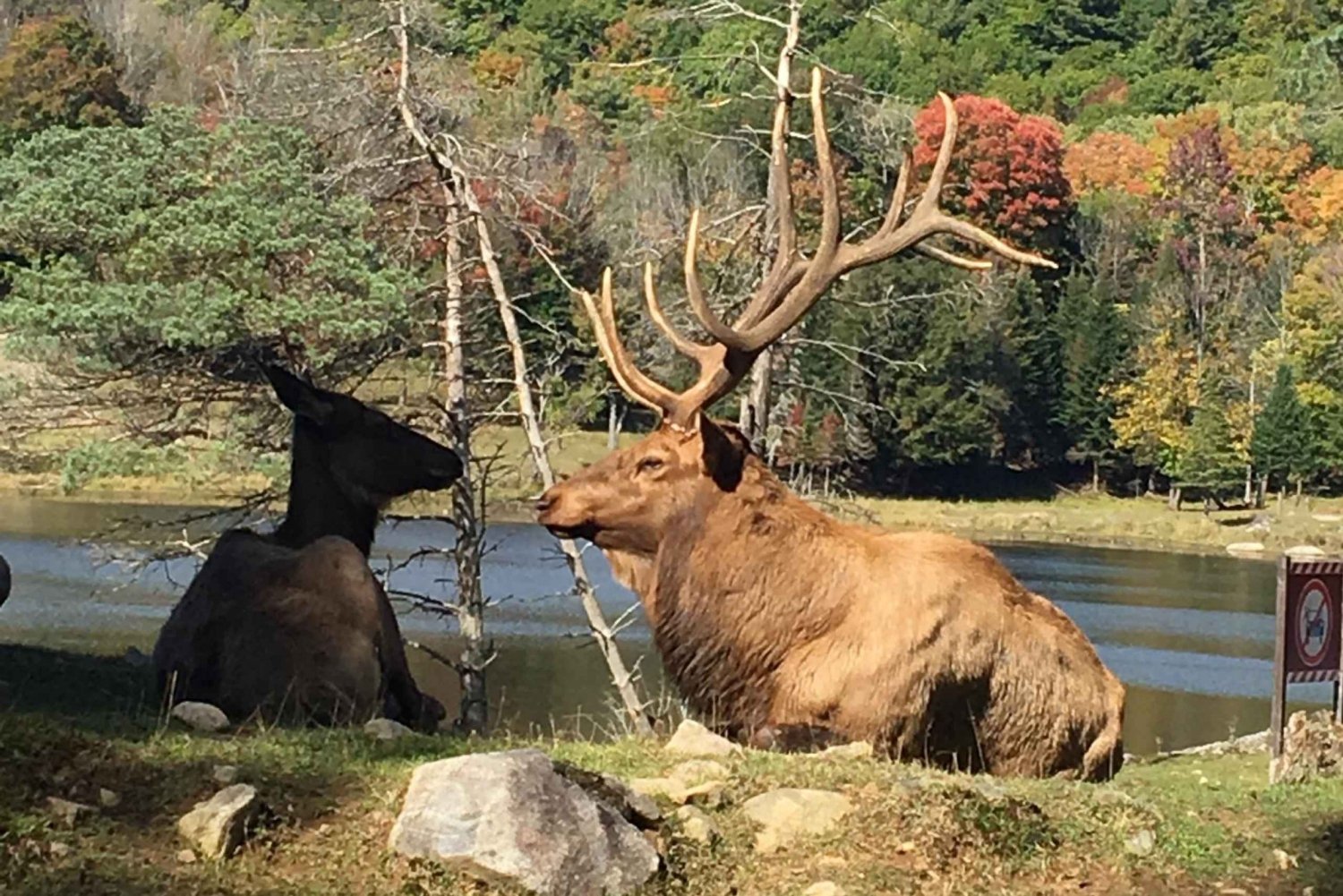 Montreal: Private Day Tour to Parc Omega & Montebello Lodge