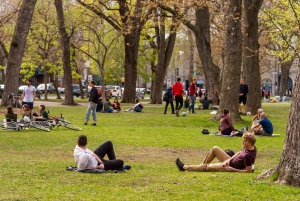 Montreal: Recorrido privado por los lugares más destacados y las joyas ocultas con un lugareño