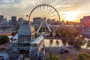 Montreal: Highlights privati e tour delle gemme nascoste con un locale