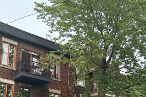 Montreal: Secondhand-shoppingtur med en lokal