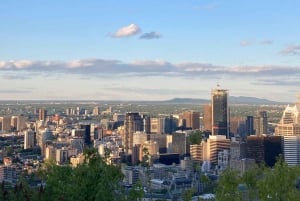 Монреаль: Шоппинг-тур по секонд-хенду с местным жителем