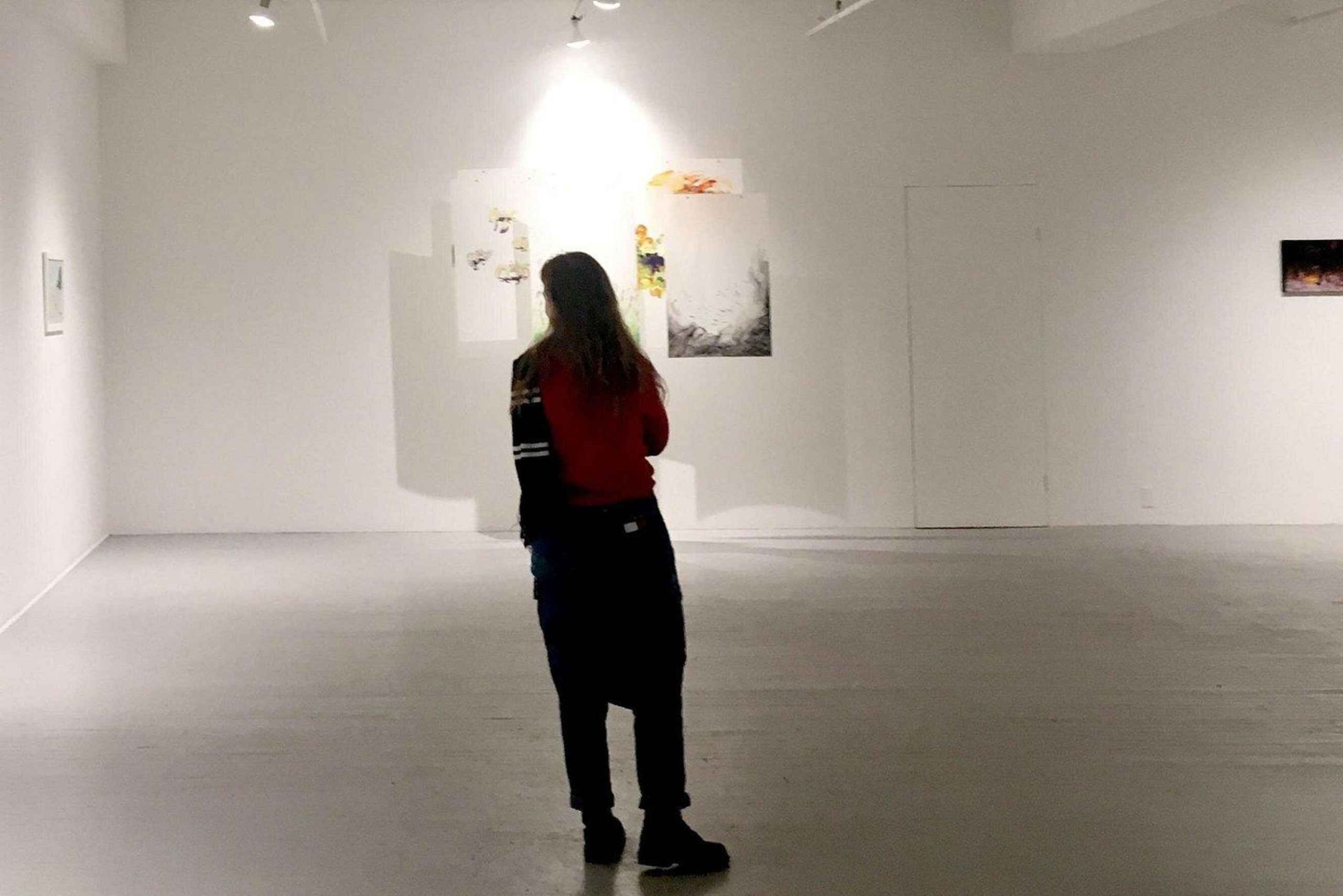 Montreal: Belgo-gallerioiden opastettu kierros