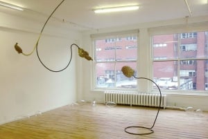 Montreal: Belgo-gallerioiden opastettu kierros