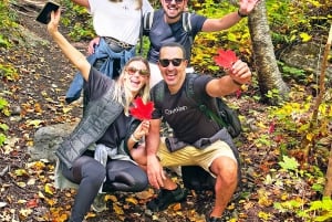 Visite du Mont-Royal à Montréal