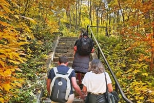 Visite du Mont-Royal à Montréal