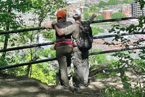 Visite du Mont-Royal à Montréal