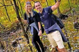 Visite du Mont-Royal à Montréal