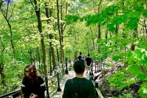 Visite du Mont-Royal à Montréal