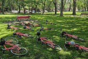 Montreal: Tour in bicicletta rosa non turistico