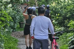 Montreal: Tour in bicicletta rosa non turistico
