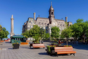 Old Montreal Highlights Private Guided Walking Tour