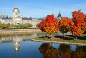 Old Montreal Private Rundgang Tour mit Tickets für die Bootstour