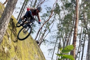 Ontario: Tour guidato panoramico in bicicletta con attrezzatura inclusa
