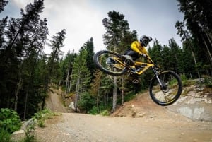 Ontario: Tour guidato panoramico in bicicletta con attrezzatura inclusa