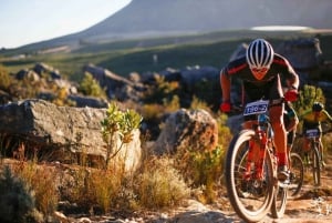 Ontario: Tour guidato panoramico in bicicletta con attrezzatura inclusa