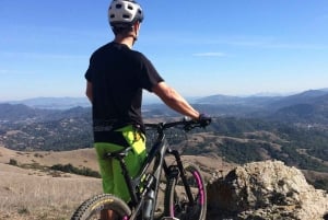 Ontario: Tour guidato panoramico in bicicletta con attrezzatura inclusa