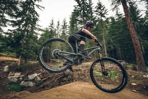 Ontario: Tour guidato panoramico in bicicletta con attrezzatura inclusa