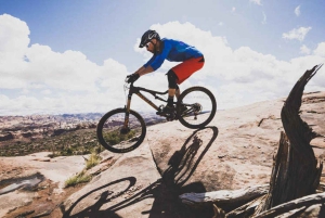 Ontario: Naturskøn guidet cykeltur med udstyr inkluderet