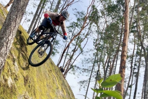 Ontario: Naturskøn guidet cykeltur med udstyr inkluderet