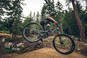 Ontario: Naturskøn guidet cykeltur med udstyr inkluderet