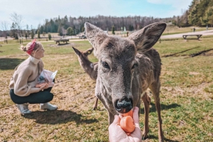 Ottawa: Private Wildlife Adventure Safari in Parc Omega