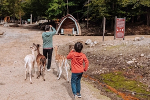 Ottawa: Private Wildlife Adventure Safari in Parc Omega