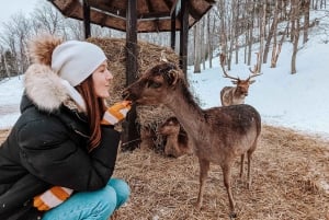 Ottawa: Private Wildlife Adventure Safari in Parc Omega