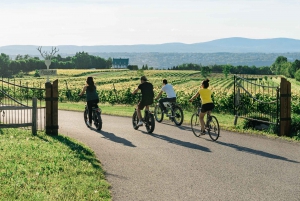 Quebec City: Ile d'Orléans Guided E-Bike Tour with Tastings