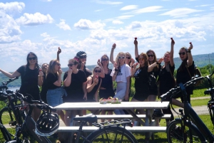 Quebec City: Ile d'Orléans Guided E-Bike Tour with Tastings