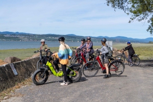 Quebec City: Ile d'Orléans Guided E-Bike Tour with Tastings