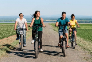 Quebec City: Ile d'Orléans Guided E-Bike Tour with Tastings