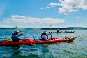 Quebec City: Sea-Kayaking Tour in Orleans Island