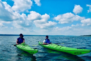 Quebec City: Sea-Kayaking Tour in Orleans Island