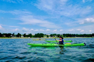 Quebec City: Sea-Kayaking Tour in Orleans Island