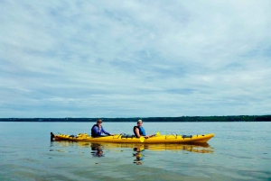 Quebec City: Sea-Kayaking Tour in Orleans Island