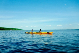 Quebec City: Sea-Kayaking Tour in Orleans Island