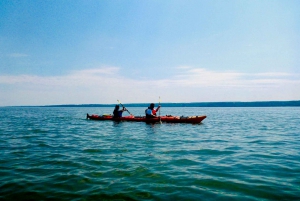 Quebec City: Sea-Kayaking Tour in Orleans Island