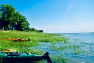 Quebec City: Sea-Kayaking Tour in Orleans Island