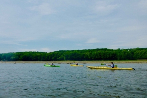 Quebec City: Sea-Kayaking Tour in Orleans Island