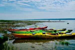 Quebec City: Sea-Kayaking Tour in Orleans Island