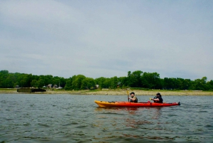 Quebec City: Sea-Kayaking Tour in Orleans Island