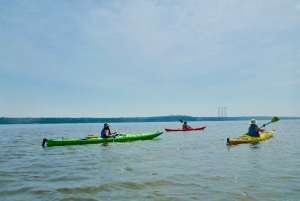 Quebec City: Sea-Kayaking Tour in Orleans Island